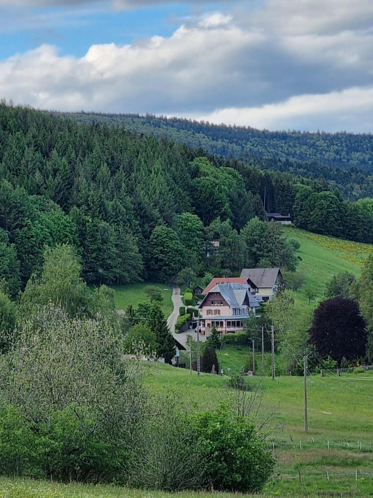 Auberge La Tete En L'Air Le Hohwald Extérieur photo